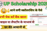 UP Scholarship 2025