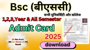 Bsc semester Admit Card 2025