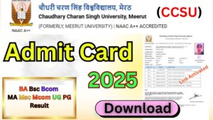 CCS University Admit Card 2025