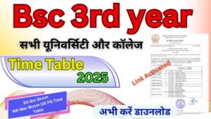 Bsc 3rd year Time Table 2025