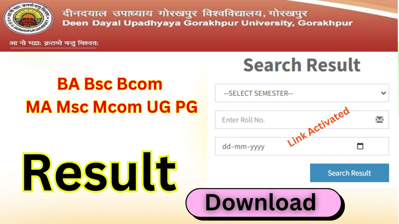 DDU Result 2025