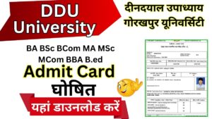 DDU Admit Card 2025