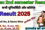 Msc 2nd semester Result 2024