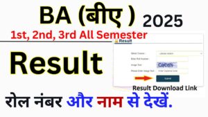 BA Result 2025