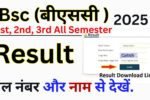 Bsc Result 2025 Download