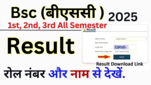 Bsc Result 2025 Download