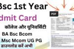 Bsc 1st Year Admit Card kab aaega