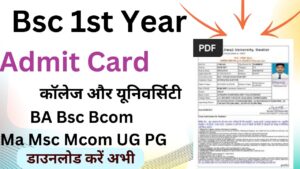 Bsc 1st Year Admit Card 