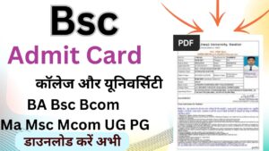 Bsc Admit Card