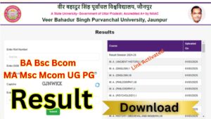 VBSP University BA Result 2025: