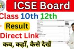 ICSE Result 2025