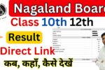 Nagaland Board Result 2025