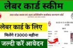 Labour Card Scheme 2026